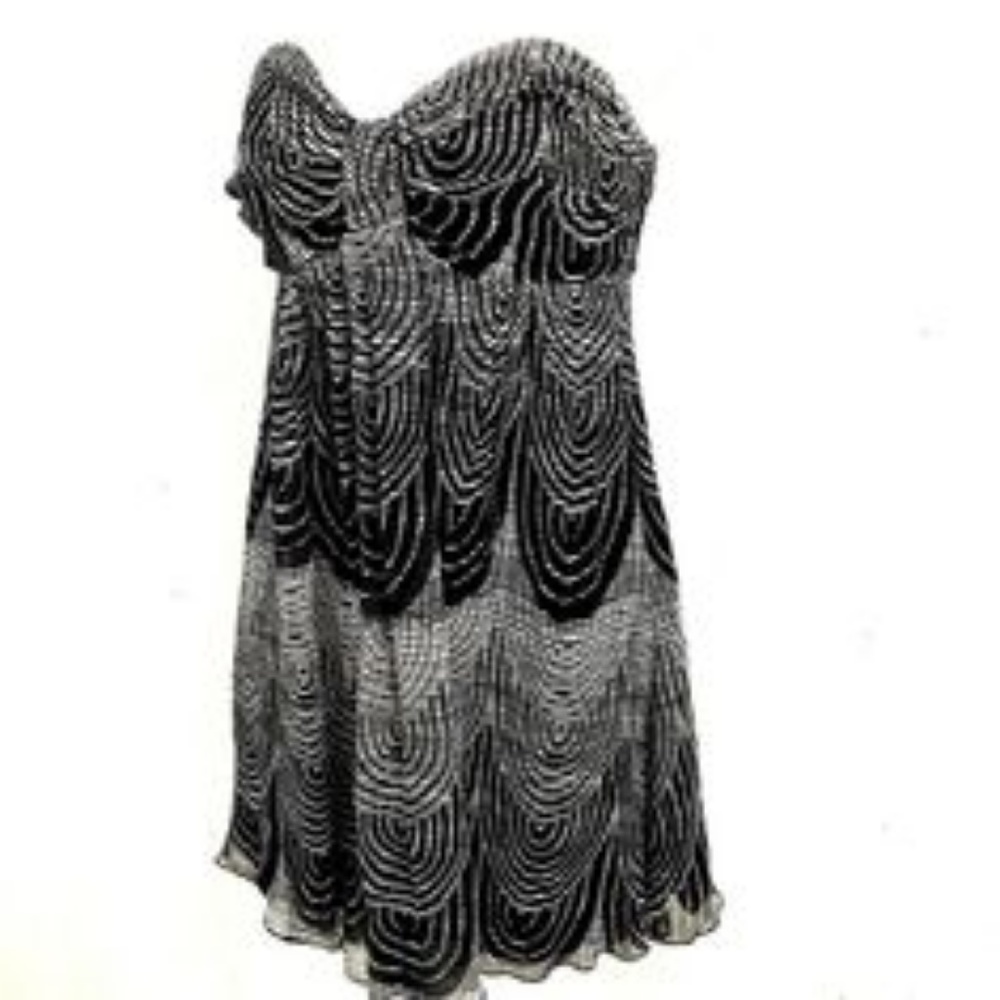 NWT Express 100% Silk Strapless Dress size 12
